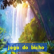 jogo do bicho documentario globoplay